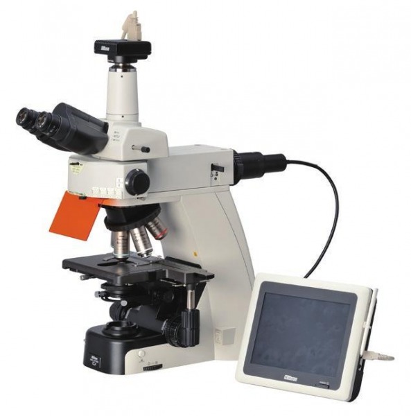 nikon_upright