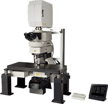 Nikon Multiphoton A1MP
