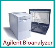 Agilent Bioanalyzer