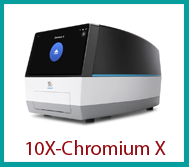 ChromiumX