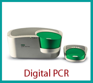 Digital PCR