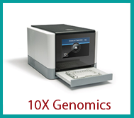 genomics-10x.png