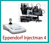 Micromanipulator Injectman