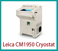 Cryostat