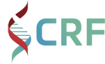 CRF