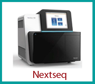 NextSeq