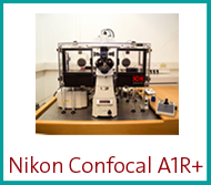 nikon-confocal-