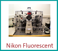 nikon-fluorescent