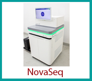 Novaseq