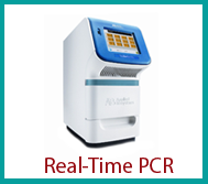 Realtime PCR