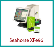 Seahorse