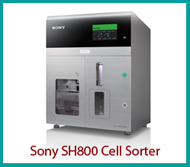 sony_sorter