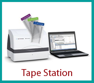 tapestation.png