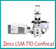 zeiss-lsm-710